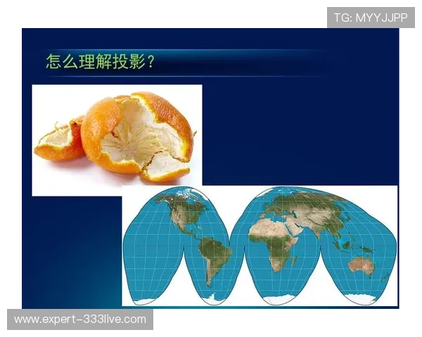 全面介绍体育综合分的计算公式及影响因素让你轻松理解评分体系